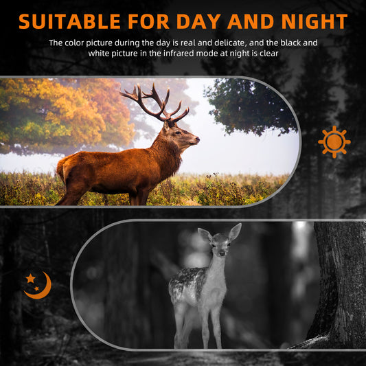 What Is Night Vision Binocular?